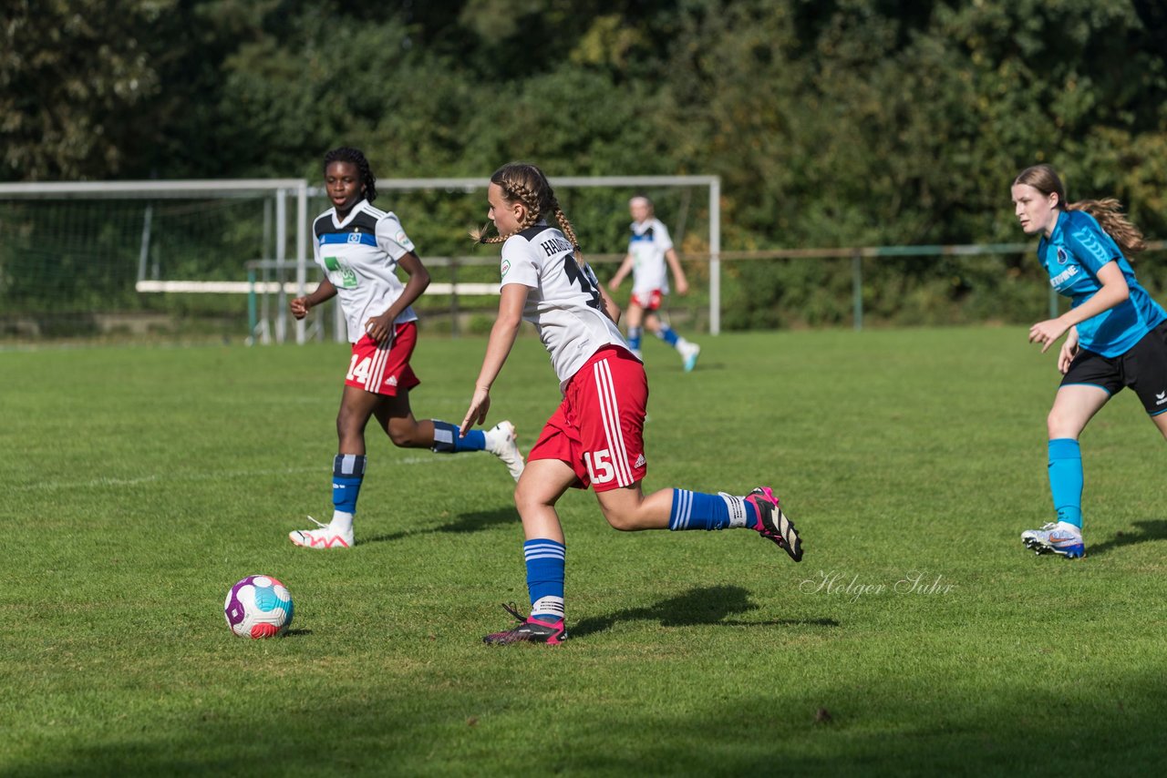 Bild 98 - wBJ VfL Pinneberg - Hamburger SV 2 : Ergebnis: 1:3